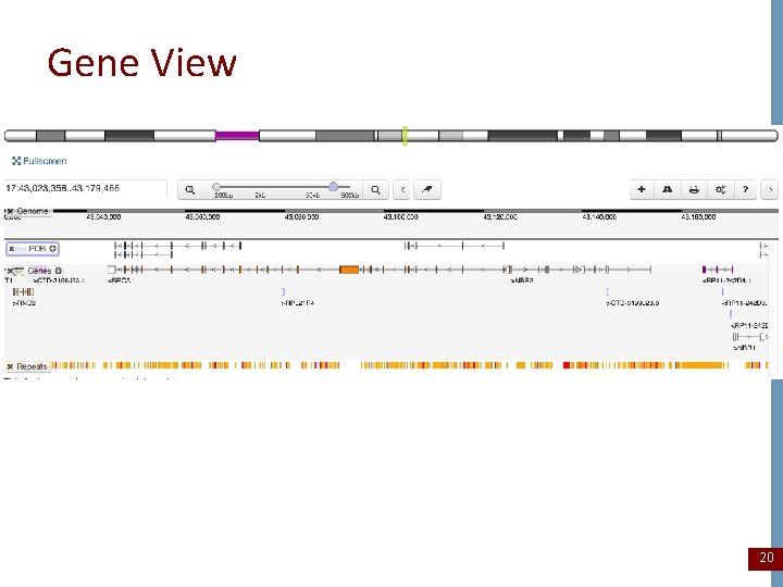 Gene View 20 