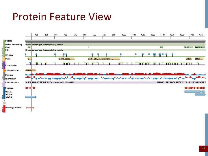 Protein Feature View 21 