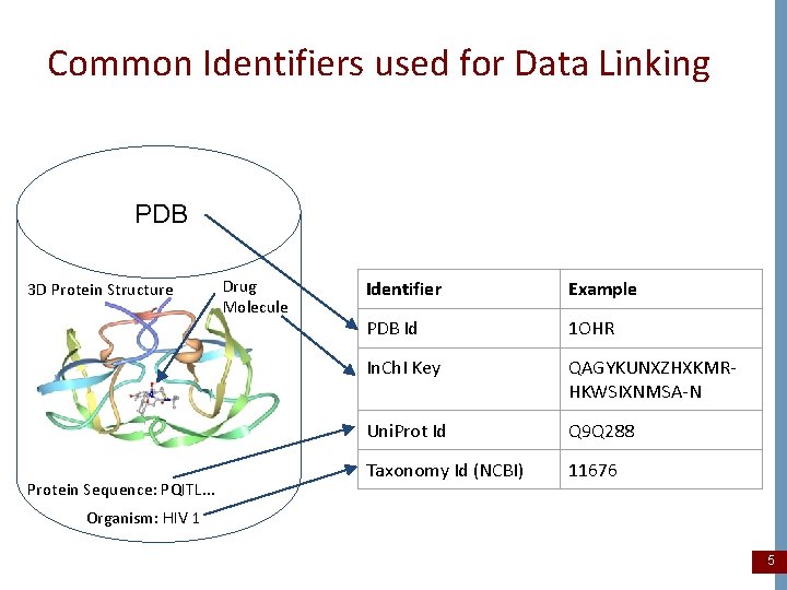 Common Identifiers used for Data Linking PDB 3 D Protein Structure Protein Sequence: PQITL.