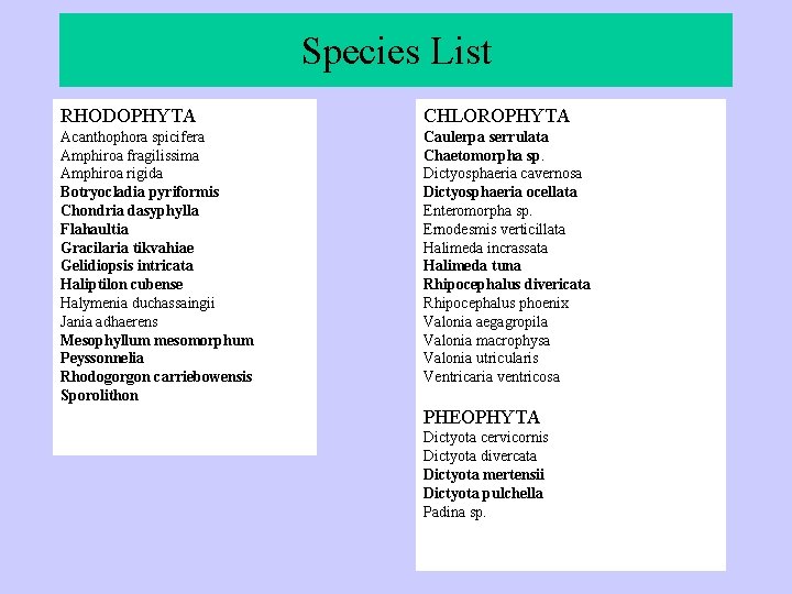 Species List RHODOPHYTA CHLOROPHYTA Acanthophora spicifera Amphiroa fragilissima Amphiroa rigida Botryocladia pyriformis Chondria dasyphylla