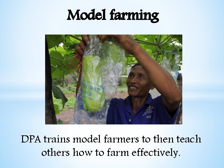 Model farming DPA trains model farmers to then teach others how to farm effectively.