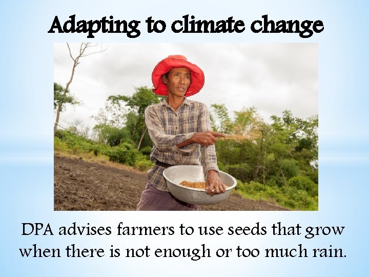 Adapting to climate change DPA advises farmers to use seeds that grow when there