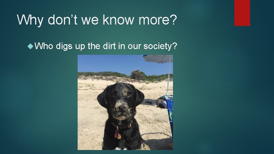 Why don’t we know more? Who digs up the dirt in our society? 