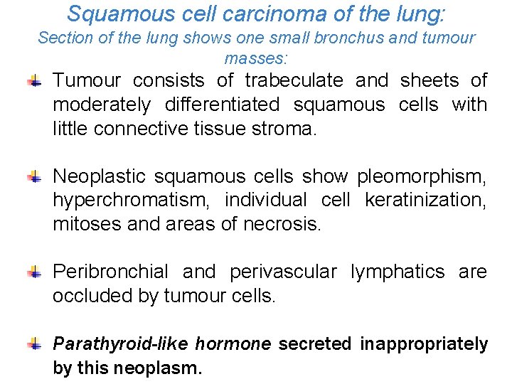 Squamous cell carcinoma of the lung: Section of the lung shows one small bronchus