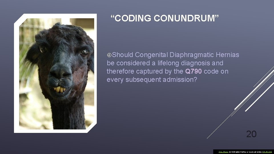 “CODING CONUNDRUM” Should Congenital Diaphragmatic Hernias be considered a lifelong diagnosis and therefore captured
