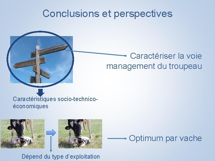 Conclusions et perspectives Caractériser la voie management du troupeau Caractéristiques socio-technicoéconomiques Optimum par vache