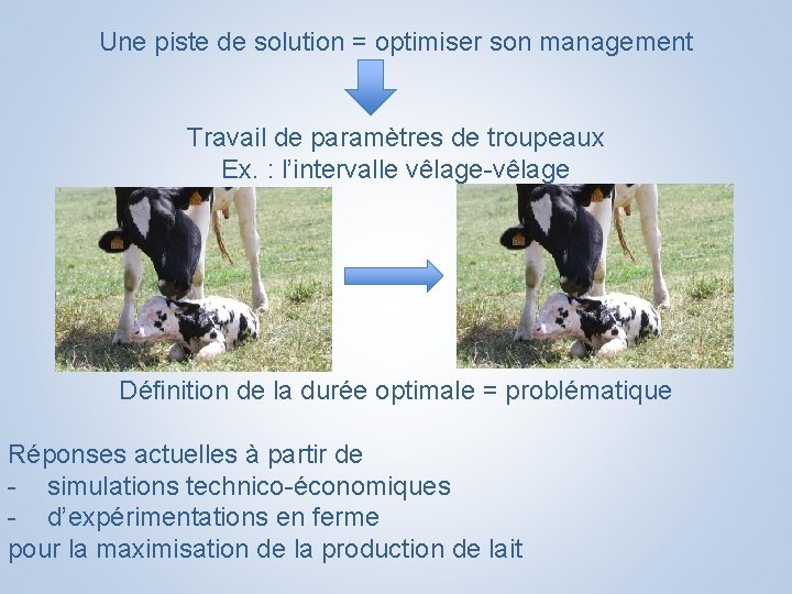 Une piste de solution = optimiser son management Travail de paramètres de troupeaux Ex.