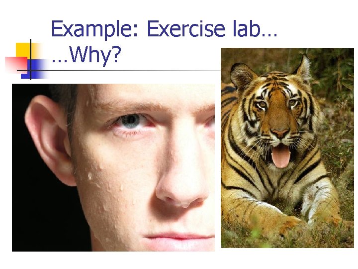 Example: Exercise lab… …Why? 