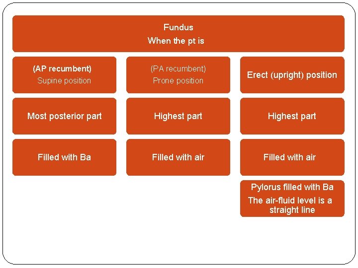 Fundus When the pt is (AP recumbent) (PA recumbent) Supine position Prone position Most