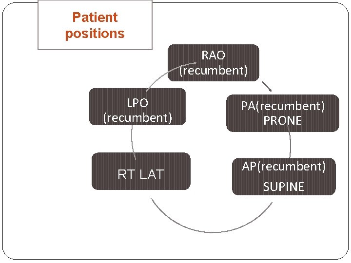 Patient positions RAO (recumbent) LPO (recumbent) RT LAT (recumbent) PA(recumbent) PRONE AP(recumbent) SUPINE 
