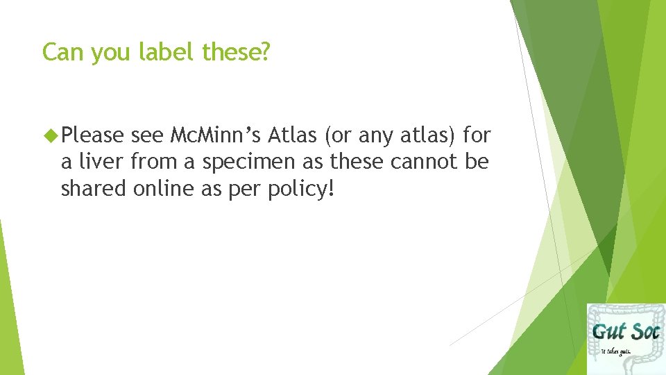 Can you label these? Please see Mc. Minn’s Atlas (or any atlas) for a