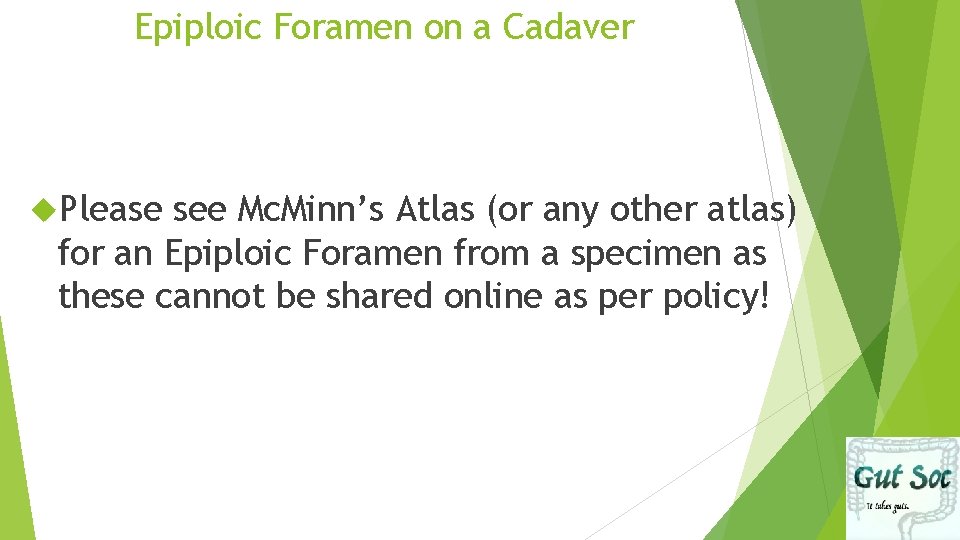 Epiploic Foramen on a Cadaver Please see Mc. Minn’s Atlas (or any other atlas)