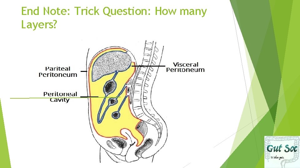End Note: Trick Question: How many Layers? 