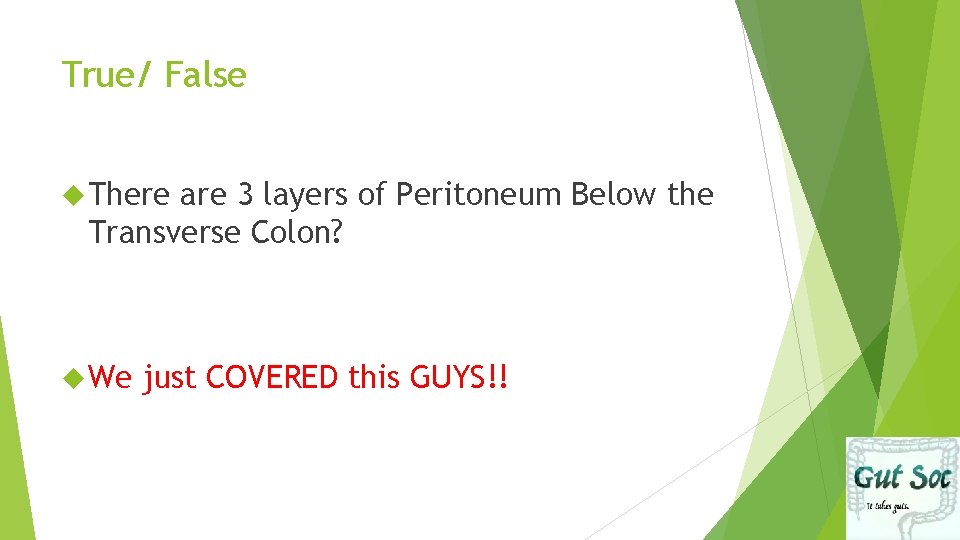 True/ False There are 3 layers of Peritoneum Below the Transverse Colon? We just