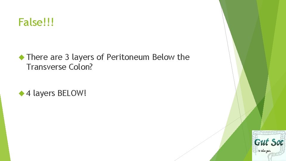 False!!! There are 3 layers of Peritoneum Below the Transverse Colon? 4 layers BELOW!