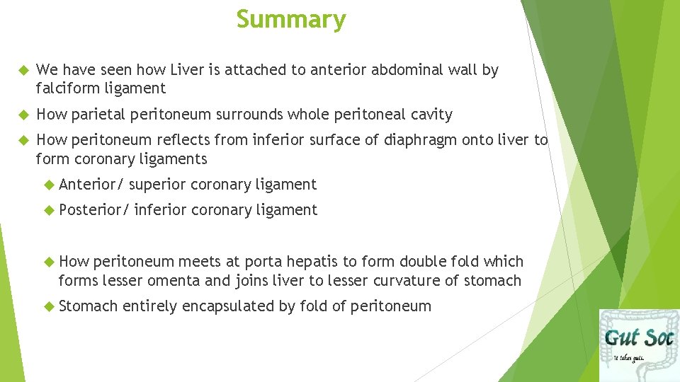 Summary We have seen how Liver is attached to anterior abdominal wall by falciform