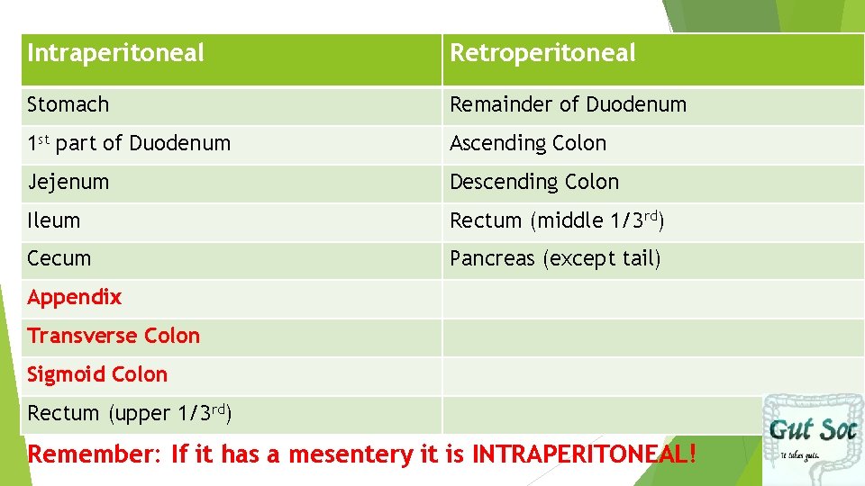 Intraperitoneal Retroperitoneal Stomach Remainder of Duodenum 1 st part of Duodenum Ascending Colon Jejenum