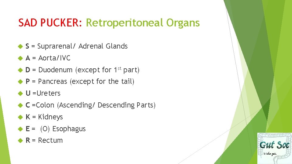 SAD PUCKER: Retroperitoneal Organs S = Suprarenal/ Adrenal Glands A = Aorta/IVC D =