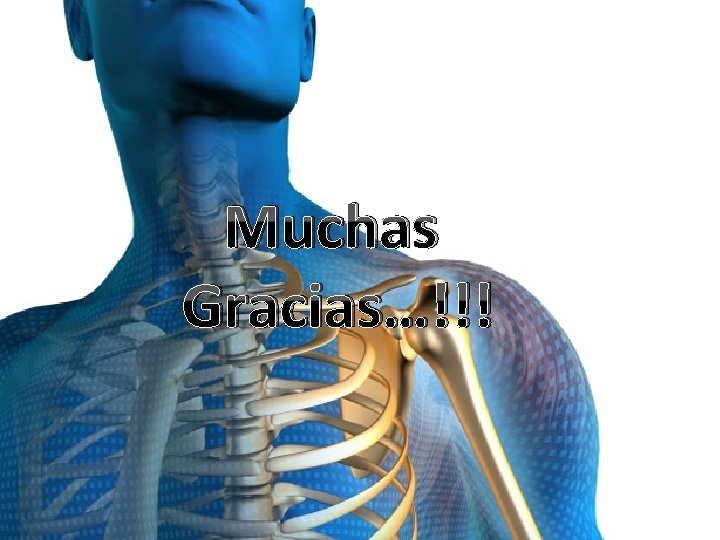 Muchas Gracias…!!! 
