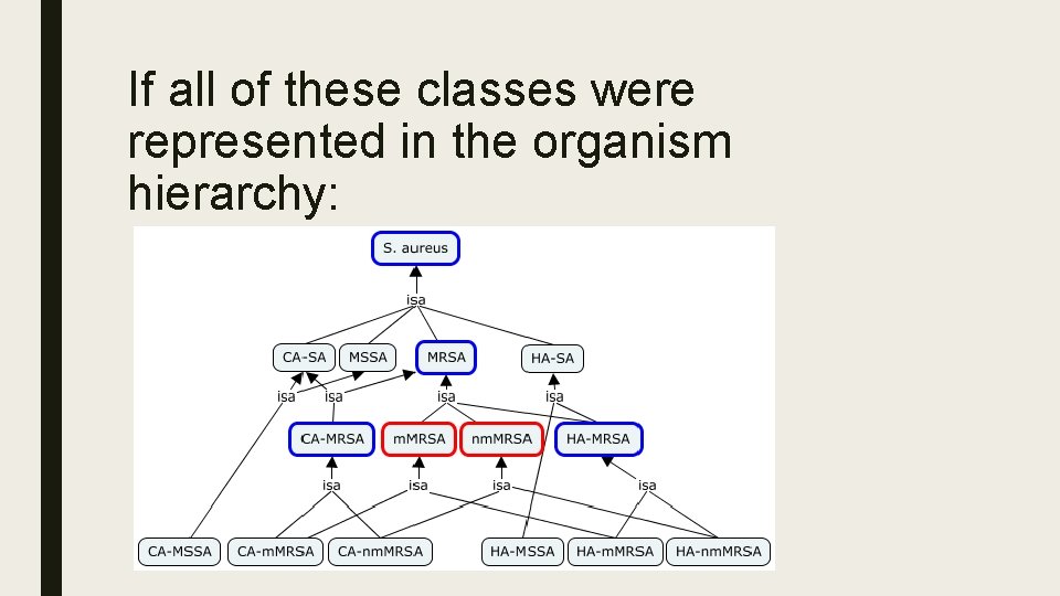 If all of these classes were represented in the organism hierarchy: 