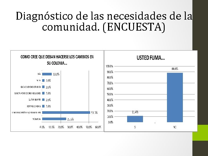 Diagnóstico de las necesidades de la comunidad. (ENCUESTA) 