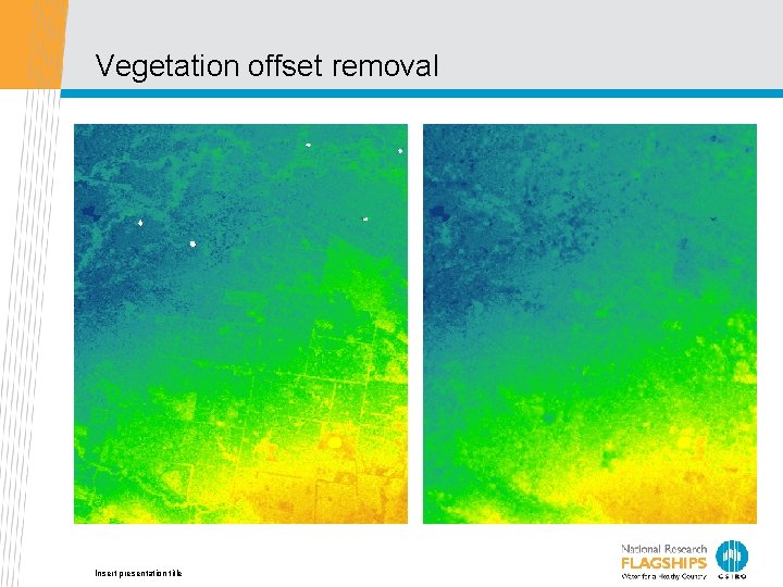 Vegetation offset removal Insert presentation title 