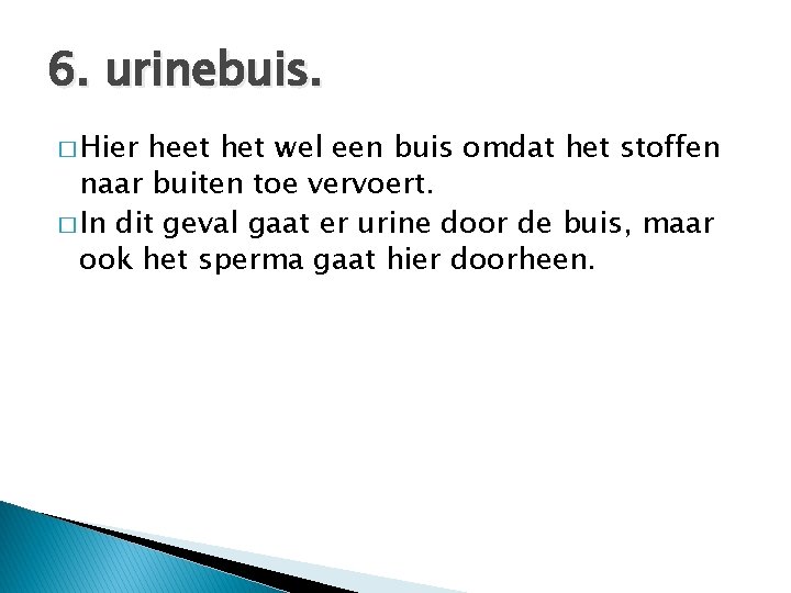 6. urinebuis. � Hier heet het wel een buis omdat het stoffen naar buiten