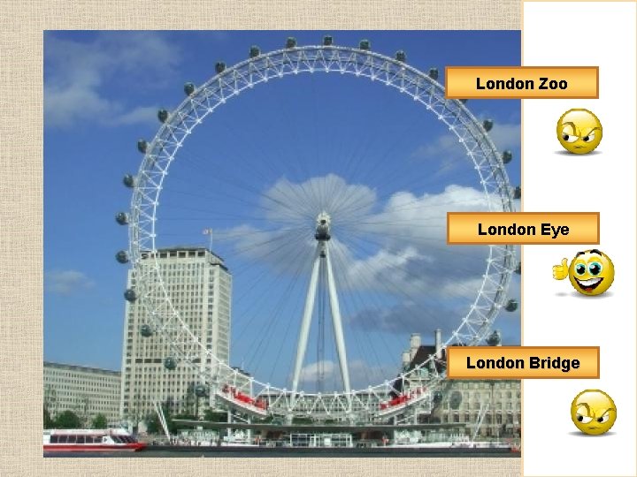 London Zoo London Eye London Bridge 