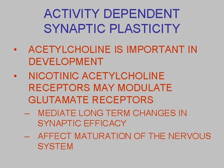 ACTIVITY DEPENDENT SYNAPTIC PLASTICITY • • ACETYLCHOLINE IS IMPORTANT IN DEVELOPMENT NICOTINIC ACETYLCHOLINE RECEPTORS