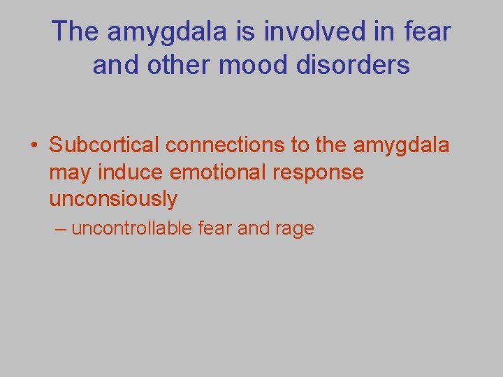 The amygdala is involved in fear and other mood disorders • Subcortical connections to