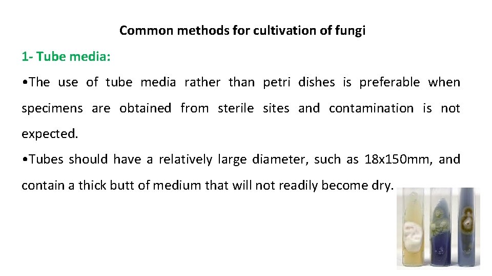 Common methods for cultivation of fungi 1 - Tube media: • The use of