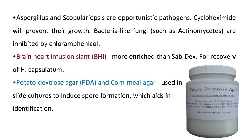  • Aspergillus and Scopulariopsis are opportunistic pathogens. Cycloheximide will prevent their growth. Bacteria-like