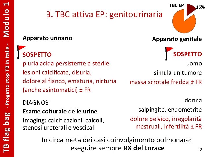Modulo 1 - Progetto stop TB in Italia - TB flag bag 3. TBC