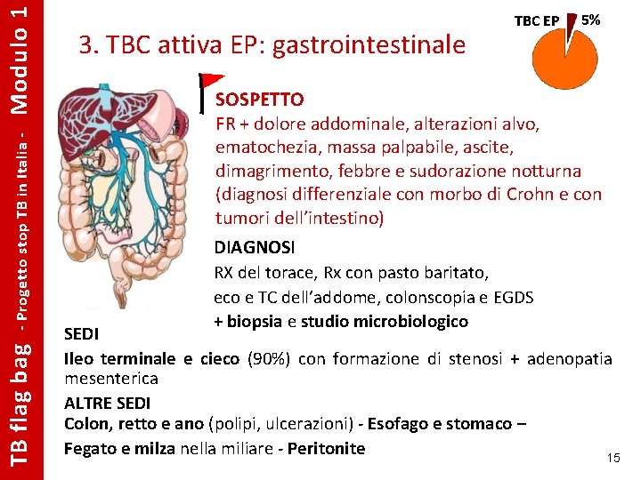 Modulo 1 - Progetto stop TB in Italia - TB flag bag 3. TBC