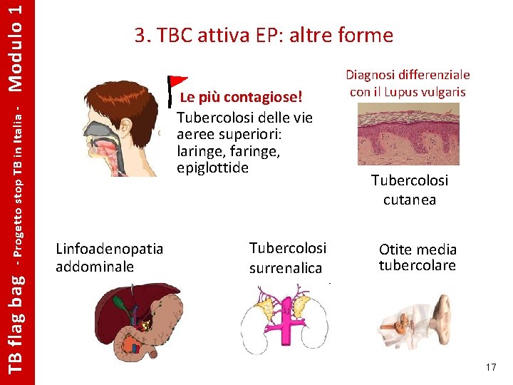 Modulo 1 - Progetto stop TB in Italia - TB flag bag 3. TBC