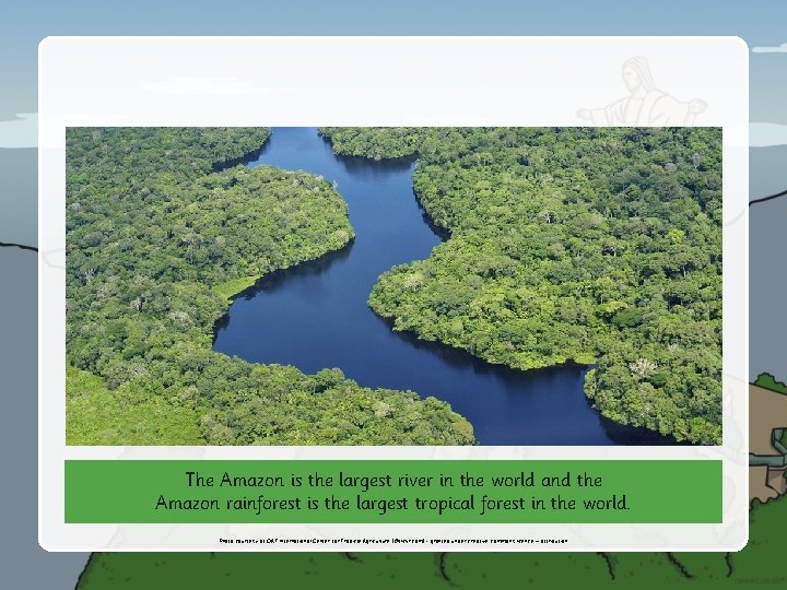 The Amazon is the largest river in the world and the Amazon rainforest is