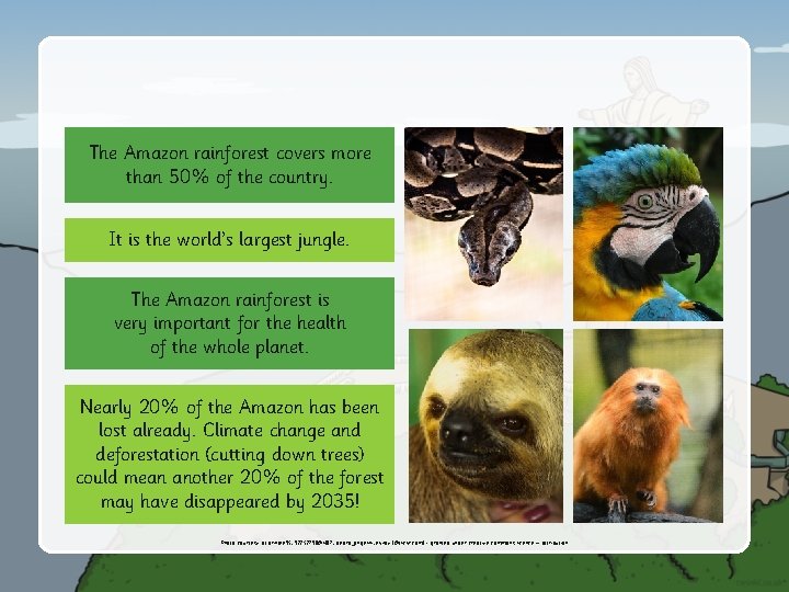 The Amazon rainforest covers more than 50% of the country. It is the world’s