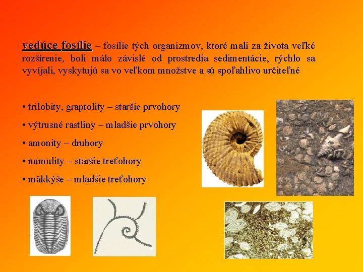 vedúce fosílie – fosílie tých organizmov, ktoré mali za života veľké rozšírenie, boli málo