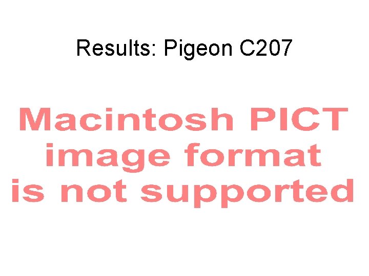 Results: Pigeon C 207 