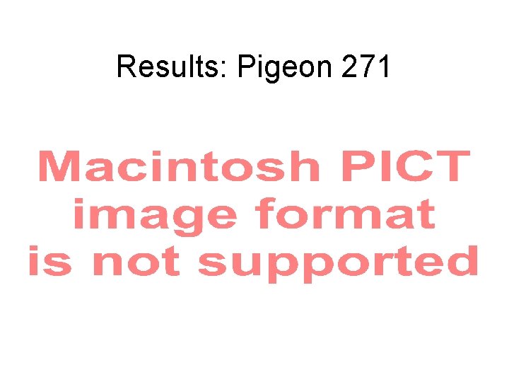 Results: Pigeon 271 