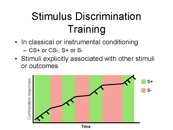 Stimulus Discrimination Training • In classical or instrumental conditioning – CS+ or CS-, S+