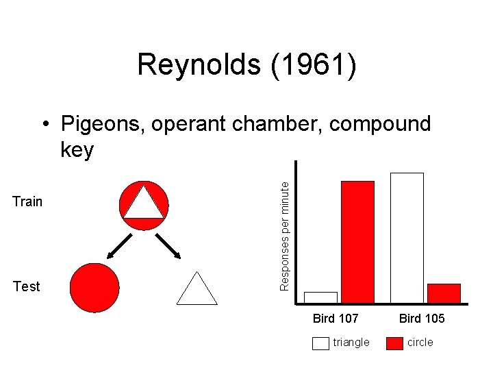 Reynolds (1961) Train Test Responses per minute • Pigeons, operant chamber, compound key Bird