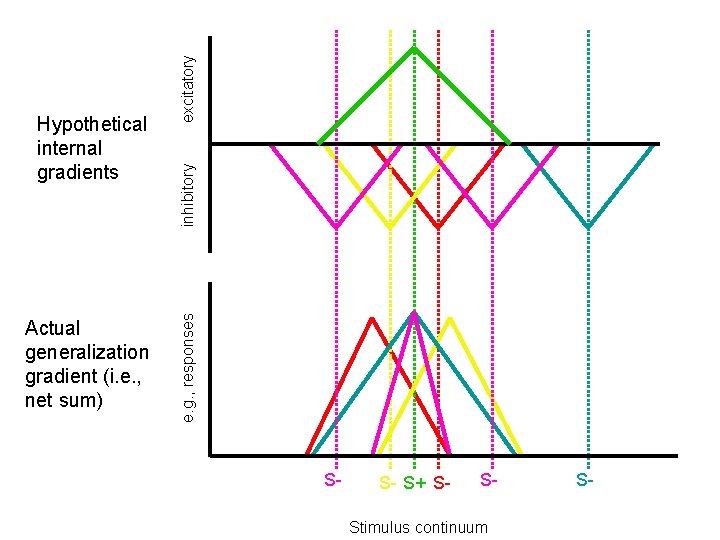 Actual generalization gradient (i. e. , net sum) excitatory inhibitory e. g. , responses