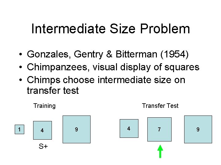 Intermediate Size Problem • Gonzales, Gentry & Bitterman (1954) • Chimpanzees, visual display of
