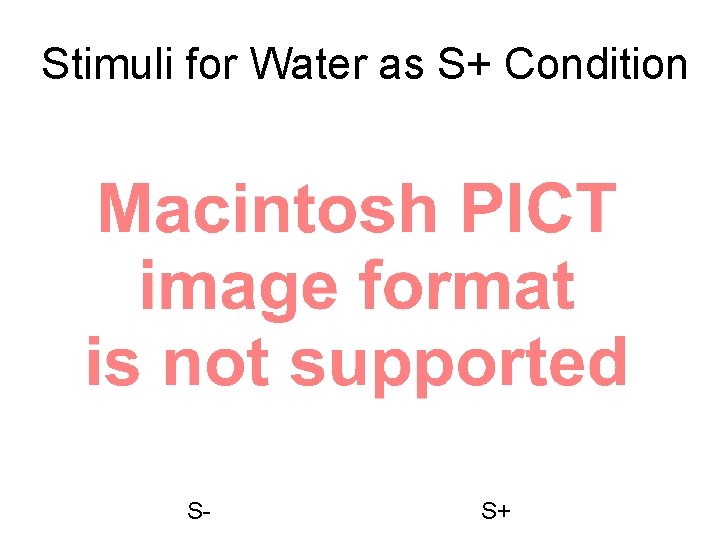 Stimuli for Water as S+ Condition S- S+ 