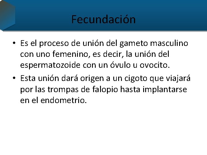 Fecundación • Es el proceso de unión del gameto masculino con uno femenino, es