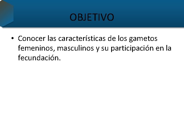 OBJETIVO • Conocer las características de los gametos femeninos, masculinos y su participación en