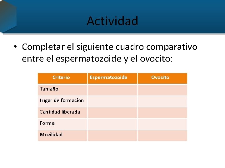 Actividad • Completar el siguiente cuadro comparativo entre el espermatozoide y el ovocito: Criterio