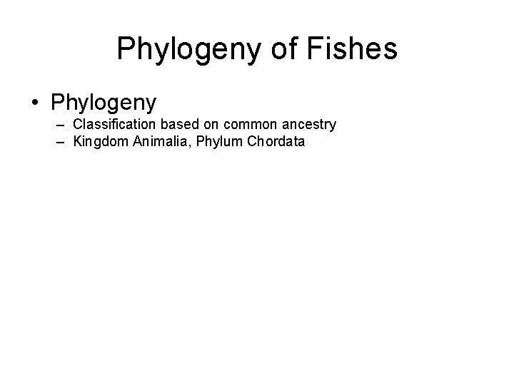 Phylogeny of Fishes • Phylogeny – Classification based on common ancestry – Kingdom Animalia,