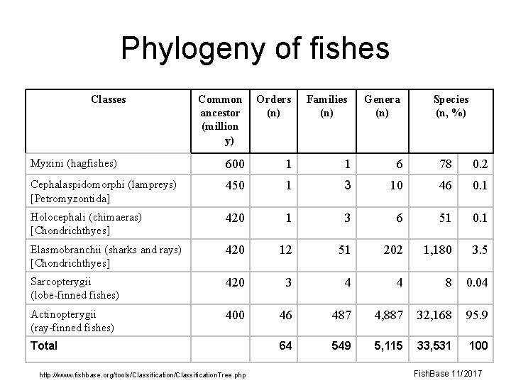 Phylogeny of fishes Classes Common ancestor (million y) Orders (n) Myxini (hagfishes) 600 1